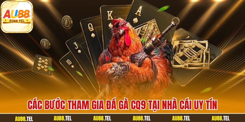 Các bước tham gia đá gà CQ9 tại nhà cái uy tín