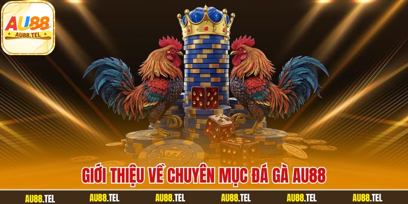Giới thiệu về chuyên mục đá gà AU88